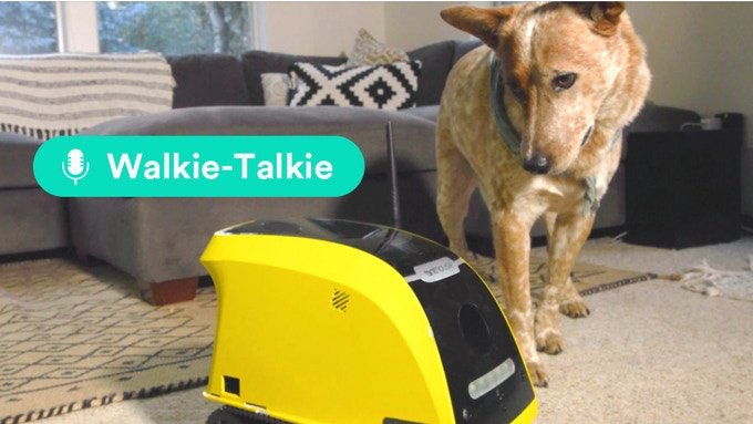 techmashcouk's tweet image. Buddy Your Dogs New Robot Friend! techmash.co.uk/2017/10/24/bud… #Buddy #Robot #BuddyRobot #Dog #DogsBestFriend #DogWalker #DogFeeder #NewRobot
