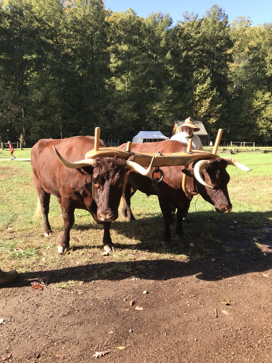 KellyRansier's tweet photo. Learned a lot at Mount Vernon today #handsonlearning @PineCrestES https://t.co/AS7UJo5Uuy