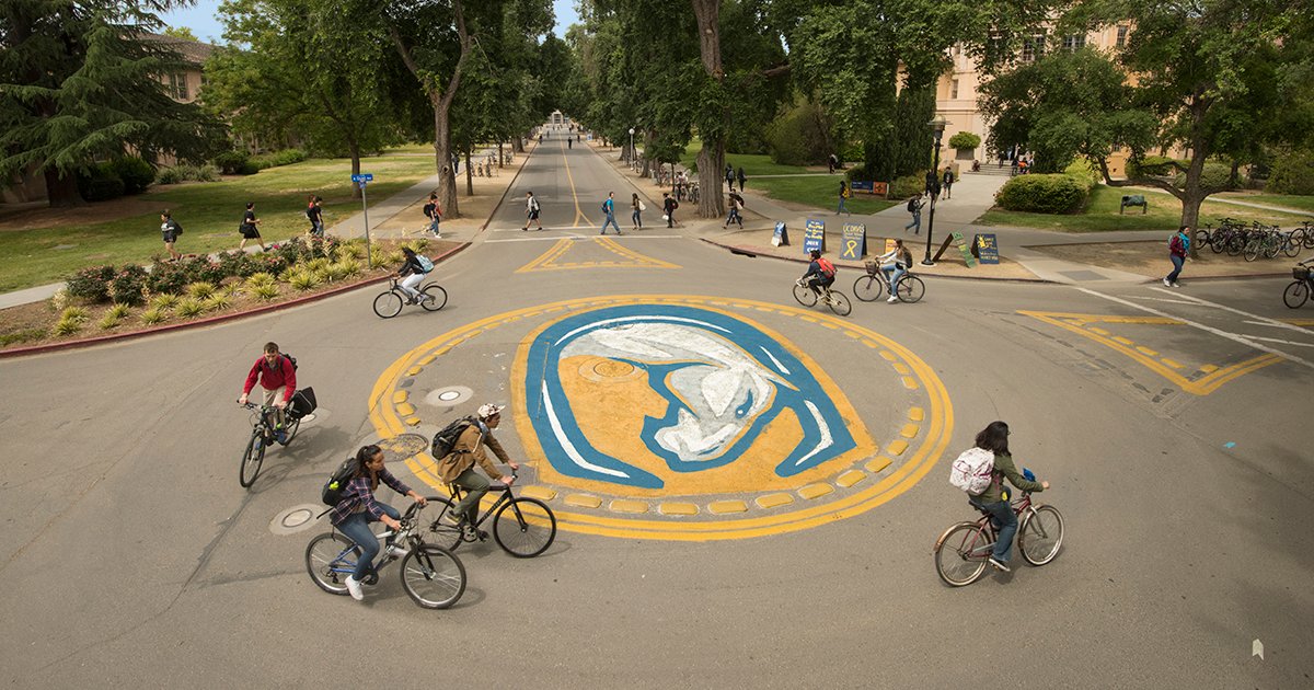 ucdavis's tweet photo. We're the 6th best #public #university acc'd to @WSJ &amp; @timeshighered's 2018 rankings! Way to #GoAgs! #UCDavis 🌍🏆 https://t.co/5fovuVusp3 https://t.co/rAu6R5pcvN
