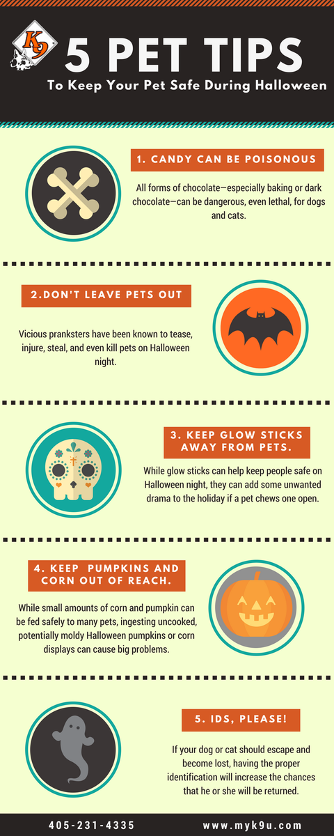 K9University's tweet photo. Check out these 5 tips on keeping your pet safe over Halloween! #myk9u #dogsafety #pets #Halloween #halloweensafety https://t.co/elx4zGWuTC