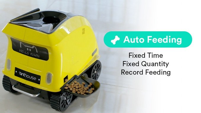 N5Dave's tweet image. Buddy Your Dogs New Robot Friend! techmash.co.uk/2017/10/24/bud… #Buddy #Robot #BuddyRobot #Dog #DogsBestFriend #DogWalker #DogFeeder #NewRobot
