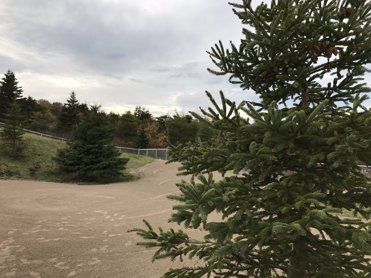 GerriLynnMackey's tweet image. Sable Chief Dog park is officially opened at McNiven Place in Airport Heights. @VOCMNEWS