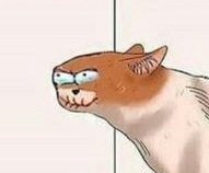 ||: When Satya sees Fareeha on Sunday-