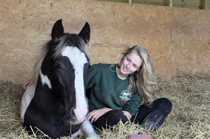 HopePastures's tweet photo. #rehomehour in 15 mintues use the hashtag to get the animals homes https://t.co/ANXYSsYLoW