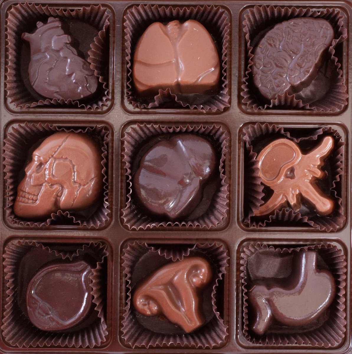 Medillustrates's tweet photo. #Halloween is only a week away 😱
Celebrate than with #anatomically correct #chocolates from @VisualAnatomy
#SciArt
https://t.co/Iu2PYAMUXN https://t.co/9dF5kLrNJT