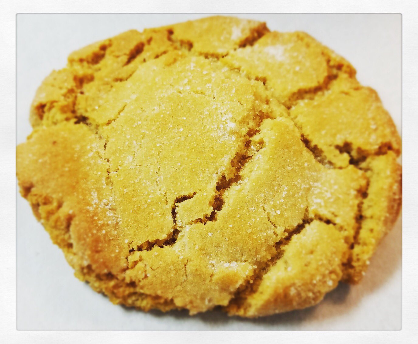 Download The Cookie Jar Bg On Twitter Lemon Crinkles A Crispy Chewy Lemon Brown Sugar Cookie Cookieoftheday Bgsu