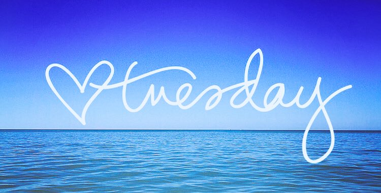 NBelfasthour's tweet photo. WELCOME 2 our weekly #socialmedia forum. With NOW over 1050 followers our aim is 2 #promote #pitch #praise. USE our #hashtag #NBelfastHour 🤪 https://t.co/fG93qssS6d