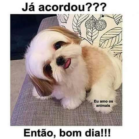 bossdoslangas's tweet photo. #TodosOsDiasEu  eu tento evitar as fotos de tia https://t.co/vI4qAUTMuU