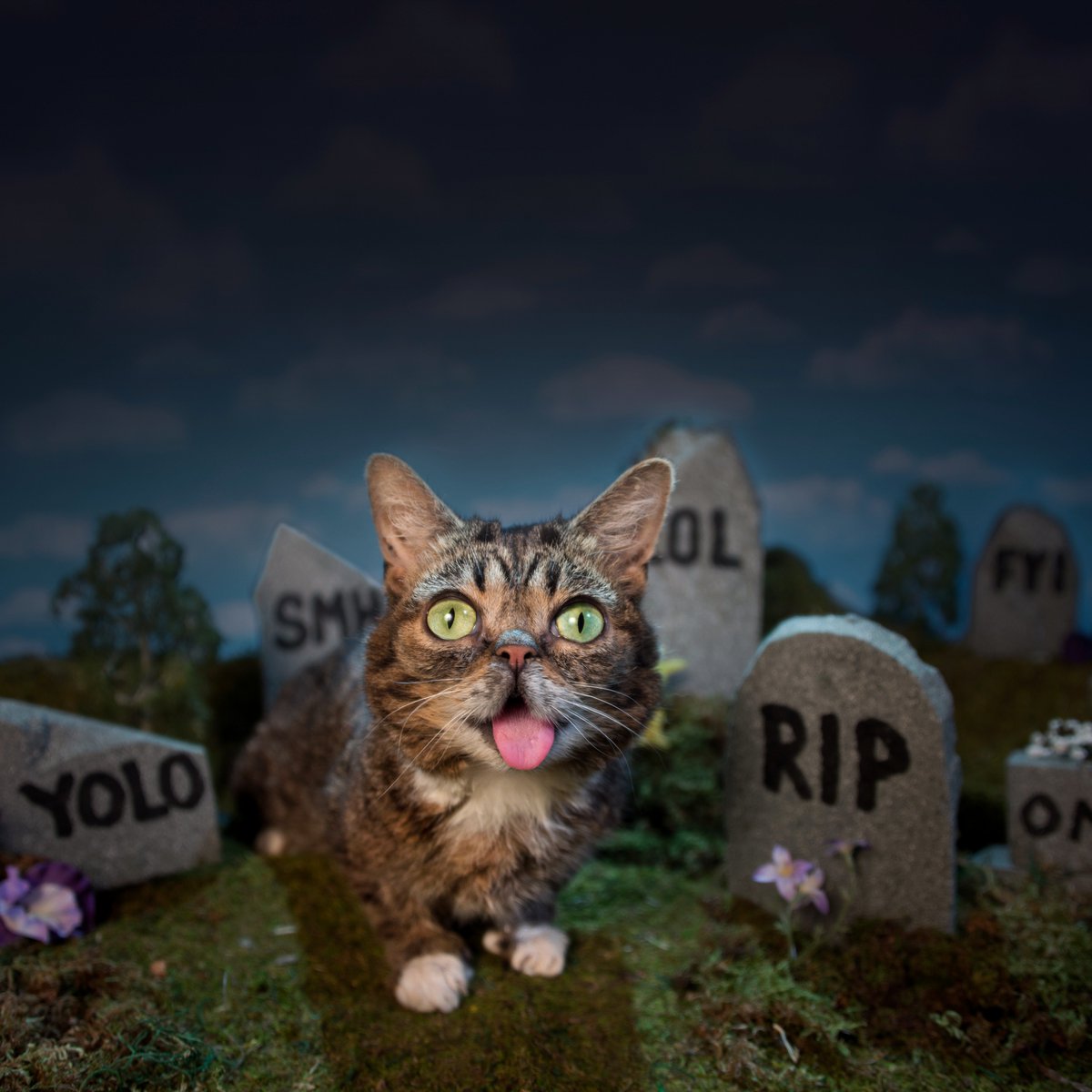 IAMLILBUB's tweet photo. B.U.B. https://t.co/JmNC2pyf03