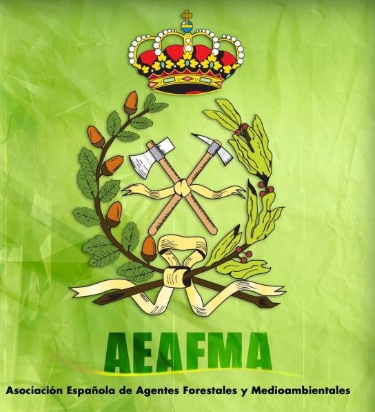 El 11 y 12 de noviembre #AEAFMA celebrará su XVIII Asamblea en el Ayuntamiento de La Granja de San Ildefonso (Segovia). ¡Allí nos veremos! ☺