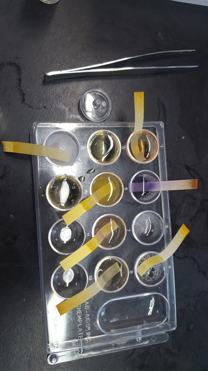 MrsFisher_Sci's tweet photo. #opsbio love these guys! Hard working scientists. They love the act. https://t.co/YrvXMD636B