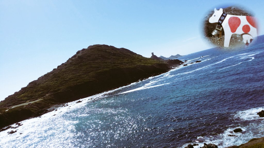 Elleinatre's tweet photo. @HappyLilly_ #enVadrouille #2discover #Corsica #Ajaccio #Parata https://t.co/tBBHF7OTgG