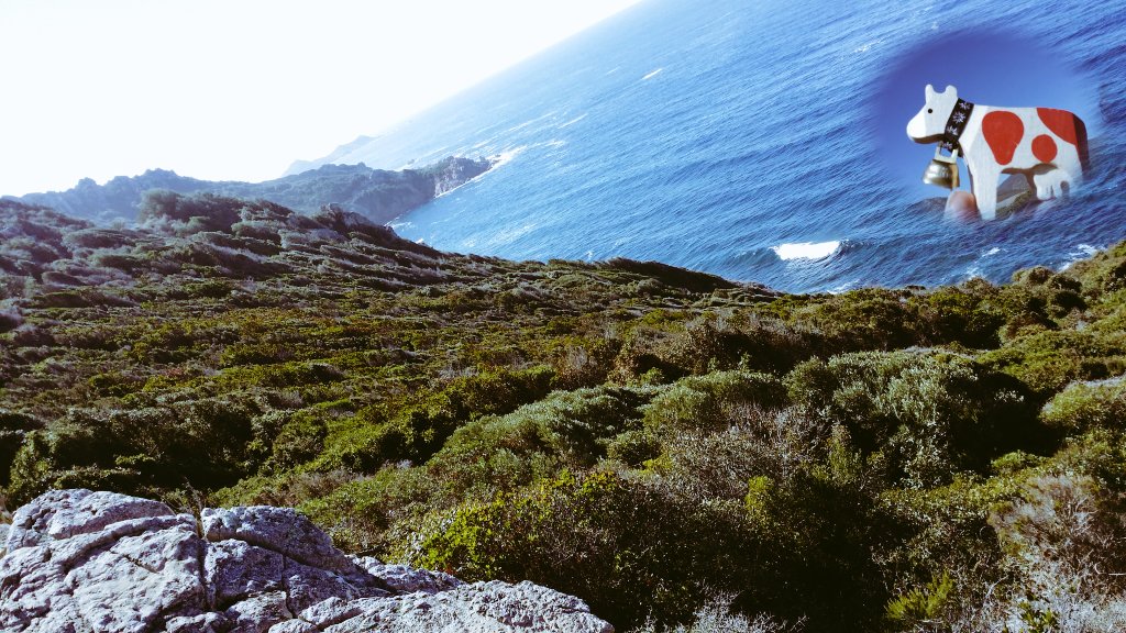 Elleinatre's tweet photo. @HappyLilly_ #enVadrouille #2discover #Corsica #Ajaccio #Parata https://t.co/tBBHF7OTgG