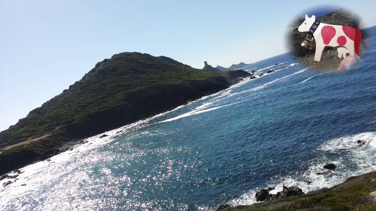 Elleinatre's tweet photo. @HappyLilly_ #enVadrouille #2discover #Corsica #Ajaccio #Parata https://t.co/tBBHF7OTgG