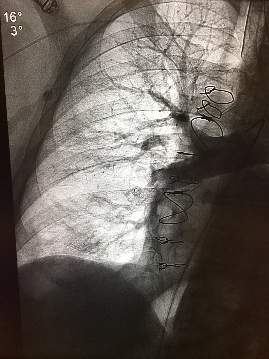 John Moriarty tweet media