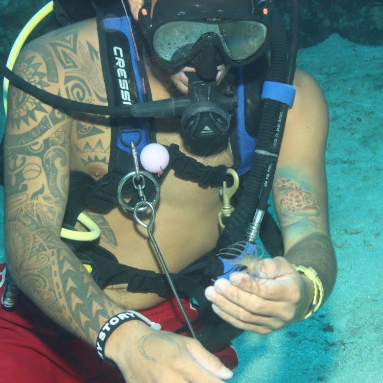 GDCDive's tweet image. A picture’s worth a thousand words, but an experience is worth so much more.