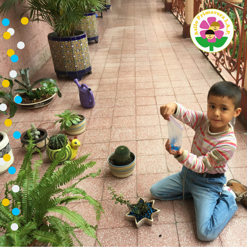 En Asilo Primavera nos preocupamos por mostrarle a los niños la importancia de cuidar su planeta.