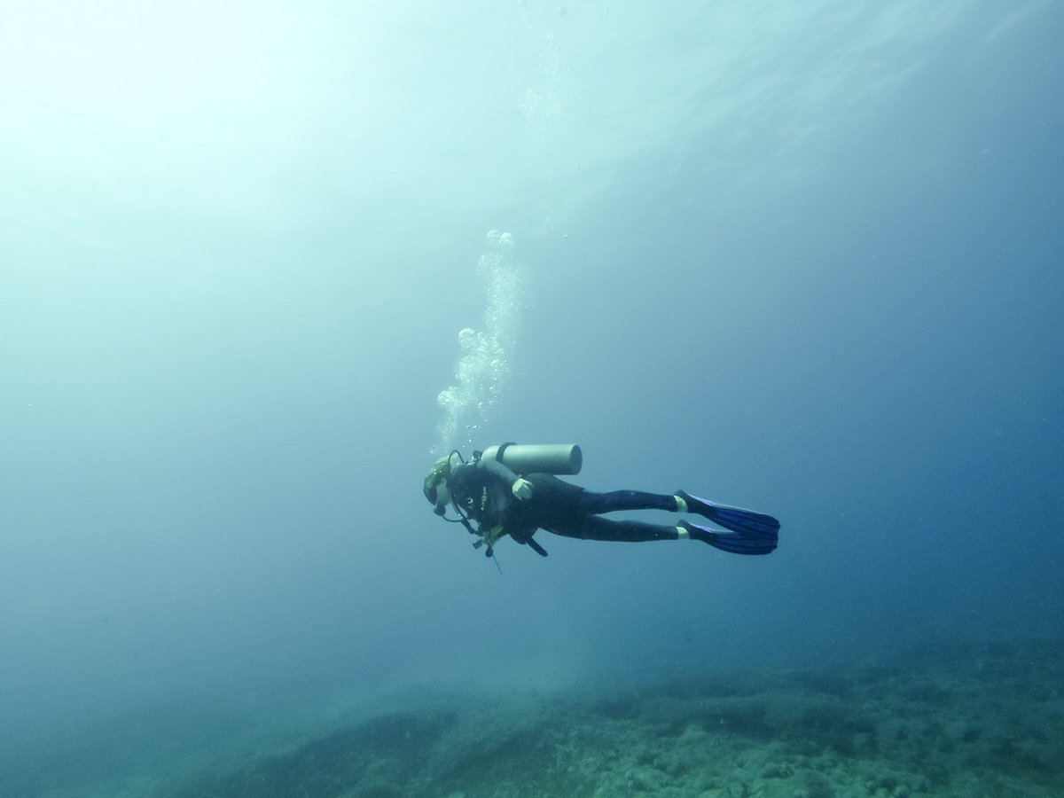 KatrienDecru's tweet photo. So much gratitude! That feeling underwater is indescribable!! #diving #gopro #bali #Indonesia #padi #travel #amazing #ocean #love #awesome https://t.co/05g2q2UvR6