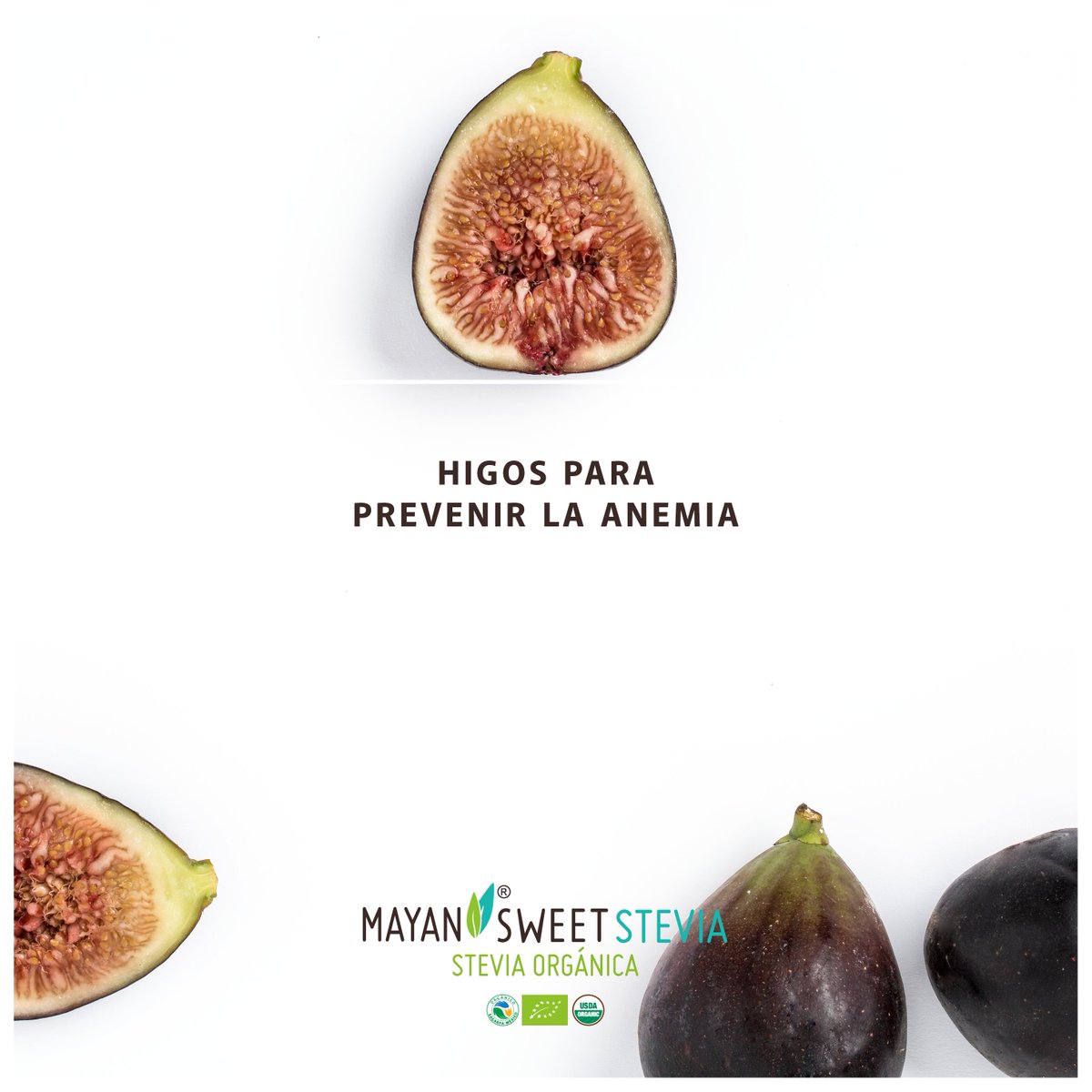 MayanStevia's tweet photo. Por su aporte de hierro, los higos se han popularizado como un buen alimento para prevenir y reducir la anemia. https://t.co/bfuQZ1mzJW