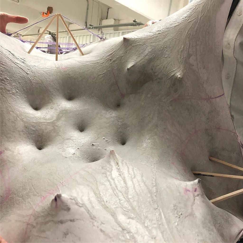 pikobayashi's tweet photo. Criaturas desde desempeño. #prexpren #minimalsurface #superficieminima #fabricformwork #formfinding #concrete #concreto https://t.co/WELJYiYYif