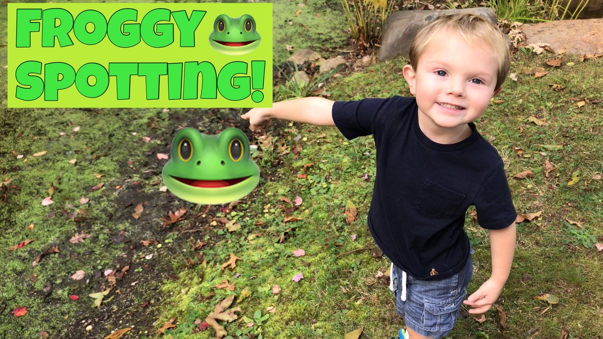 PlaytimeDylan's tweet photo. Dylan went #frog spotting at the #peconicriverherbfarm in today’s video! https://t.co/v1CK3VtTiz #toddlerlife #froggy #frogs #LongIsland 🐸 https://t.co/xJkRKQCv5J