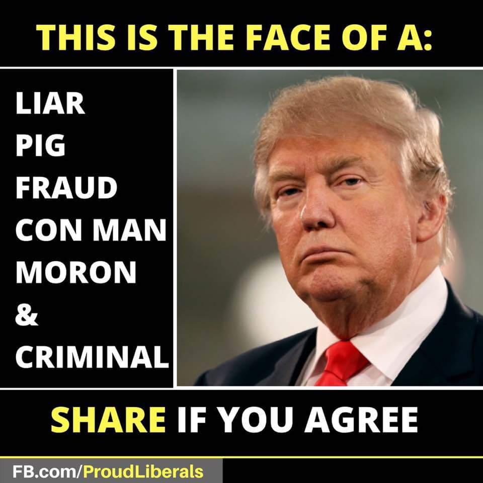 DorisWi21188971's tweet photo. @realDonaldTrump @USUN @UN @WhiteHouse @nikkihaley  https://t.co/rnZZemJ0eT