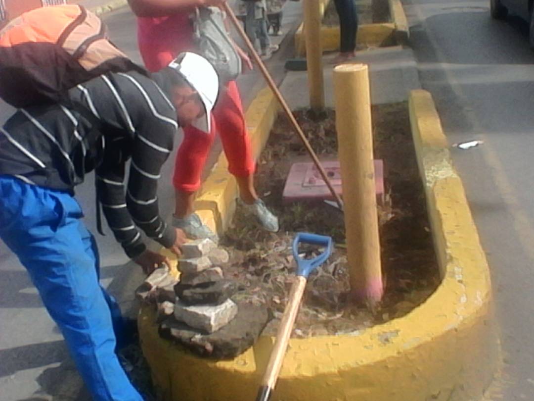 iamsaoficial's tweet photo. @MiCumana500 Cumpliendo con el Saneamiento de la Av. Arismendi.
@davidvpsuv @iamsaoficial https://t.co/Y0FUjcWyBJ