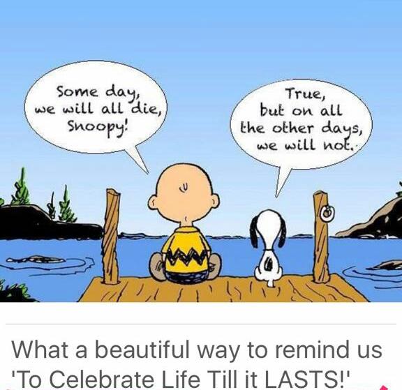 MartinTurnerdcr's tweet photo. Celebrate life.. Please help us save our 17yr old daughters life. https://t.co/aftLD4zfU0 #immuneotherapy #doingitforkelly https://t.co/2S6Yn7P4Md