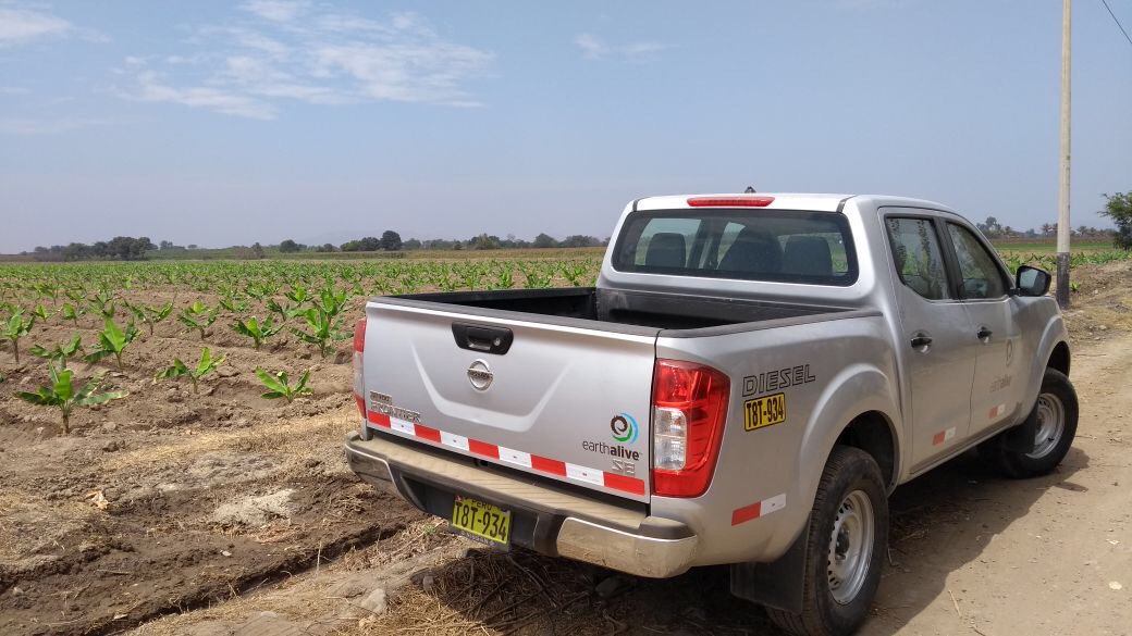 earthalivect's tweet photo. Notre équipe sur le terrain apporte son soutien aux agriculteurs après l'application de l’#ActivateurdeSol certifié biologique et suit de près leur progrès. Ici au Pérou, notre agronome Joel Escobar visite une nouvelle plantation de bananes! https://t.co/e4i4I3h58O