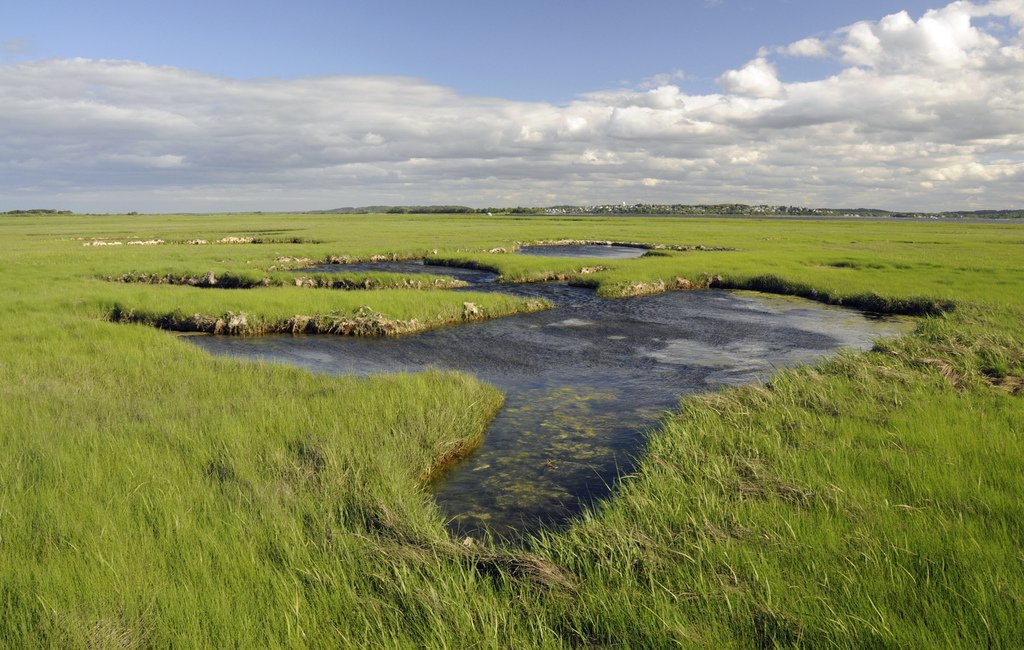 USFWSRefuges's tweet photo. Parker River #WildlifeRefugeβs Great Marsh helps protect MA coastal communities from sea & storms https://t.co/Ad1rpkb3ov https://t.co/GfPSCJWQgg