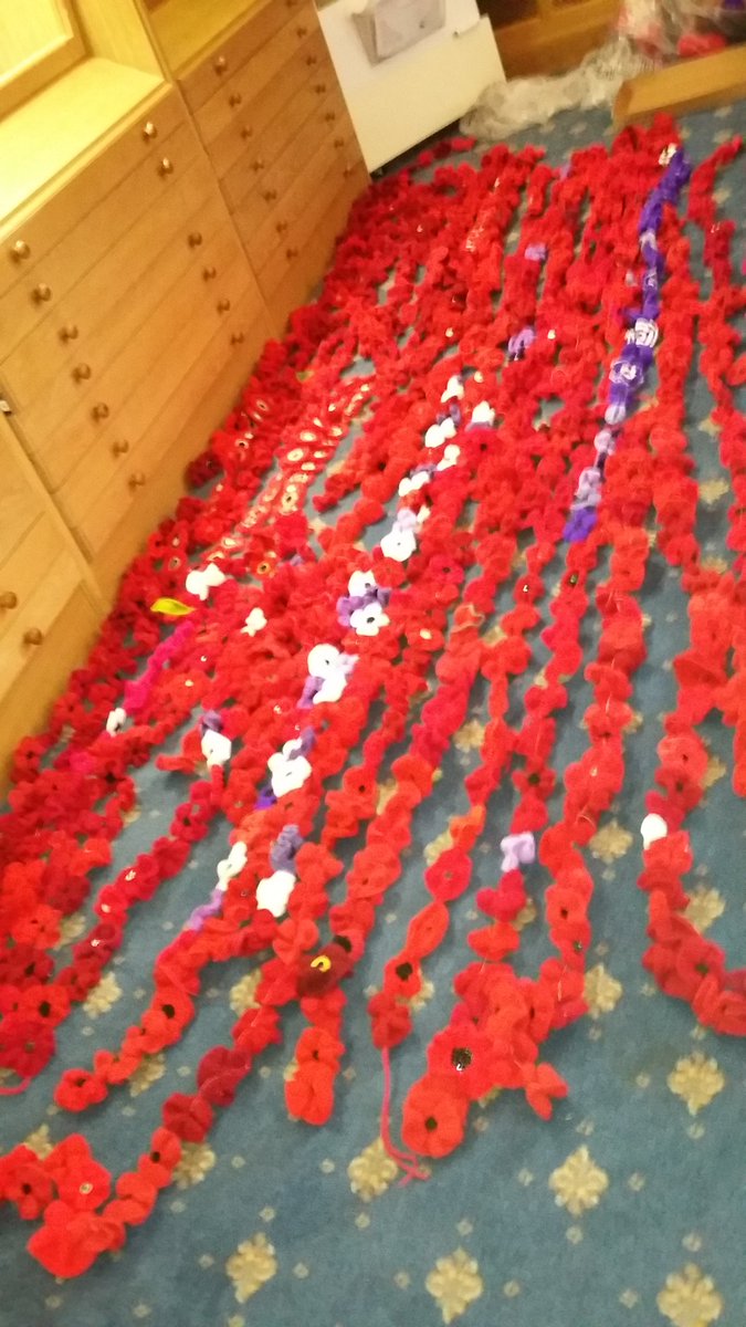 REMuseum_Snob's tweet photo. Poppies as far as the 👀 can see @REMuseum this week getting ready for @nucleusarts #poppy exibition. Why not pop by to help the installation https://t.co/WSghLWiwQD
