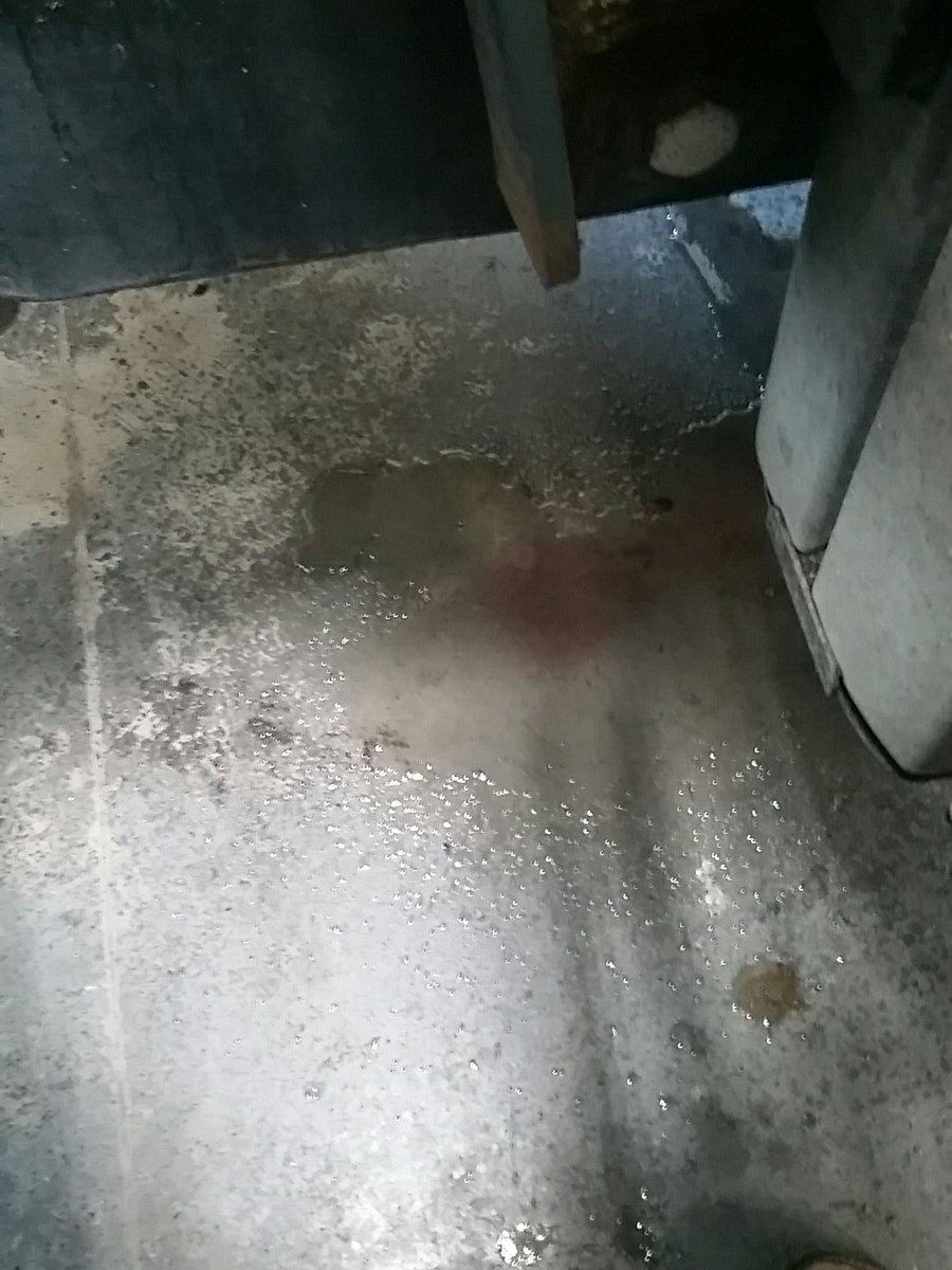 groundbeef69's tweet photo. Water in fuel code #andthataintnoshit #whochecks #thisstuff https://t.co/QfwZG8G08z