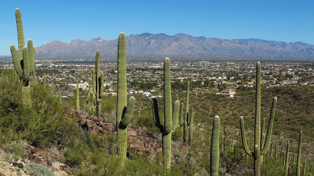 PromontoryApts's tweet photo. Get outside and take a hike this fall!
#Tucson #Hiking #FallSeason #Trails #FallInTucson #TucsonAutumn
https://t.co/AEsEInCZfh https://t.co/MgMG0f4nvX
