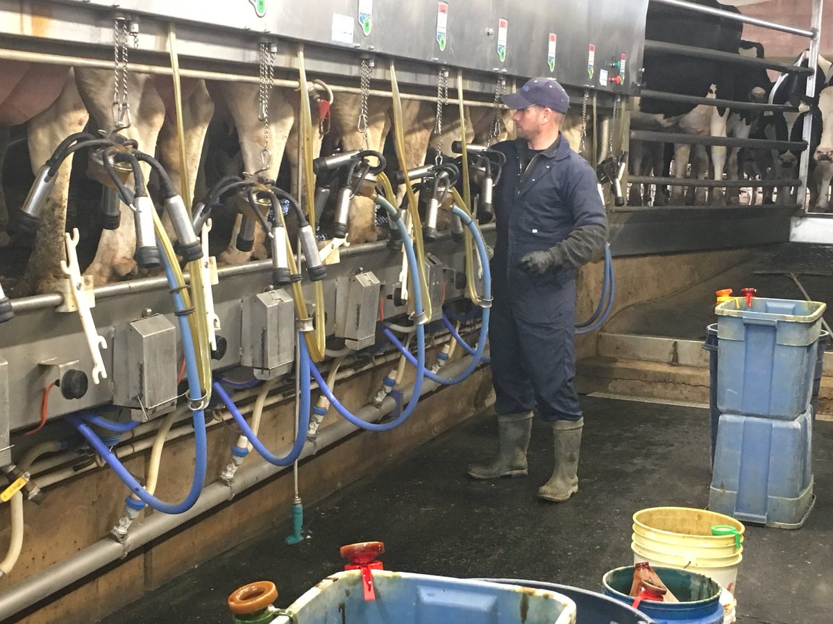 kellydaynard's tweet photo. A sighting of @benloewith in his natural habitat today. Thanks to him and his family for hosting @FarmFoodCareON tour today. #ffc17 https://t.co/3B0Levlw42