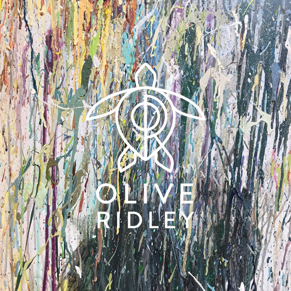 OliveRidleyRCP's tweet photo. Unintentional artwork. #recycle #paint #interiordesign https://t.co/pOQVu3zO2V