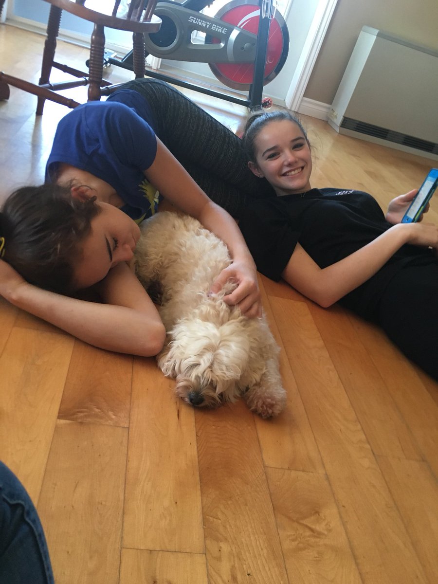 Brookejkb14's tweet photo. Jak is home safe! Thanks so much to everybody who helped look for him we really appreciated itβ€οΈπΆπ #jaksback https://t.co/rF4YPhQUCM