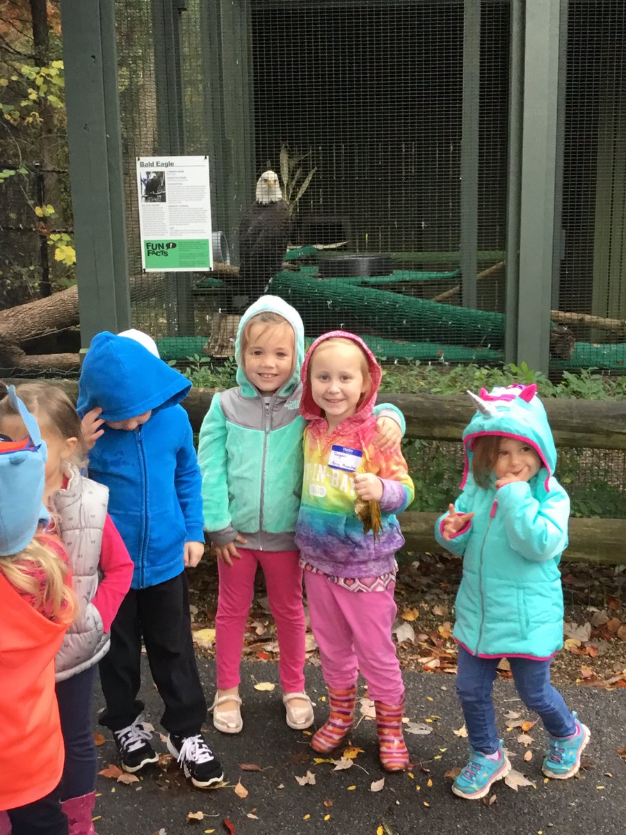perry_prek's tweet photo. Perry preschoolers learn about the bald eagle! https://t.co/DbudswPXdo