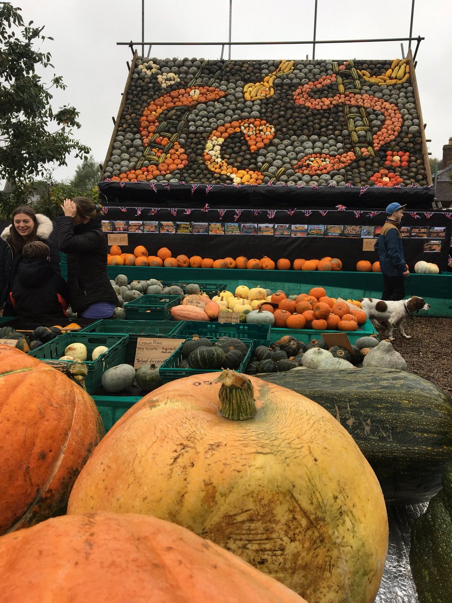 Pumpkin central at the Slindon pumpkin, West Sussex festival <a href="/slindonpumpkins/">Slindon Pumpkins</a>