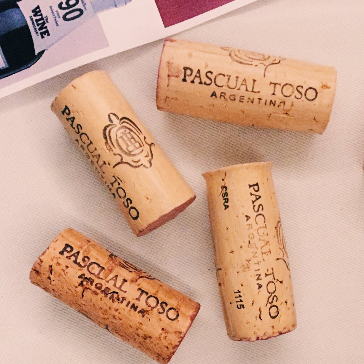 #DYK The grapes in <a href="/PascualToso/">Pascual Toso</a> wines are from an estate located in one of the best wine growing areas in Mendoza? ow.ly/HkX130g6vc6