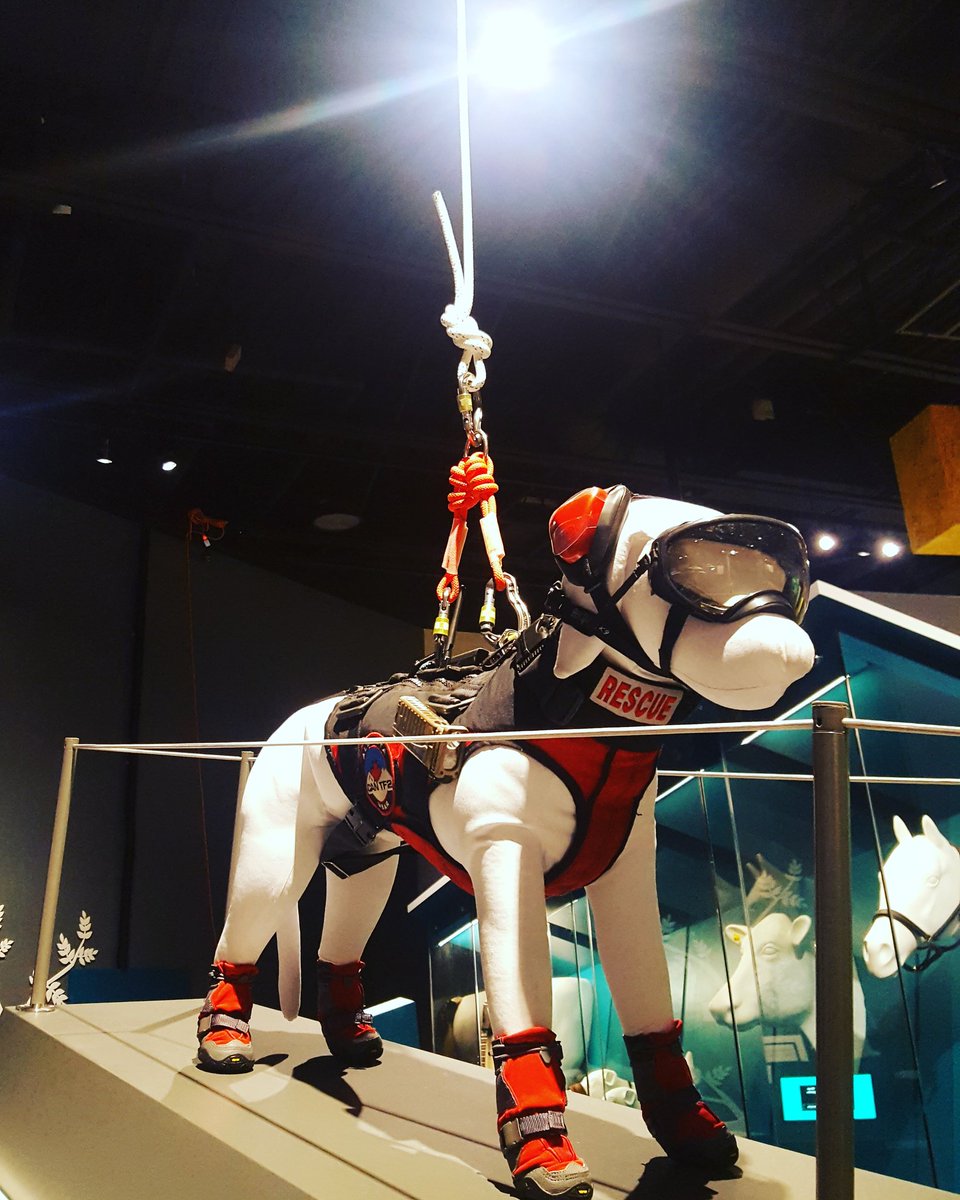 Artifacts used by SAR K9 Baillie and her handler <a href="/Kit_K9/">Kit & K9🐾</a> (Canmore, AB) are installed and ready for opening! #ruff #WearableTech