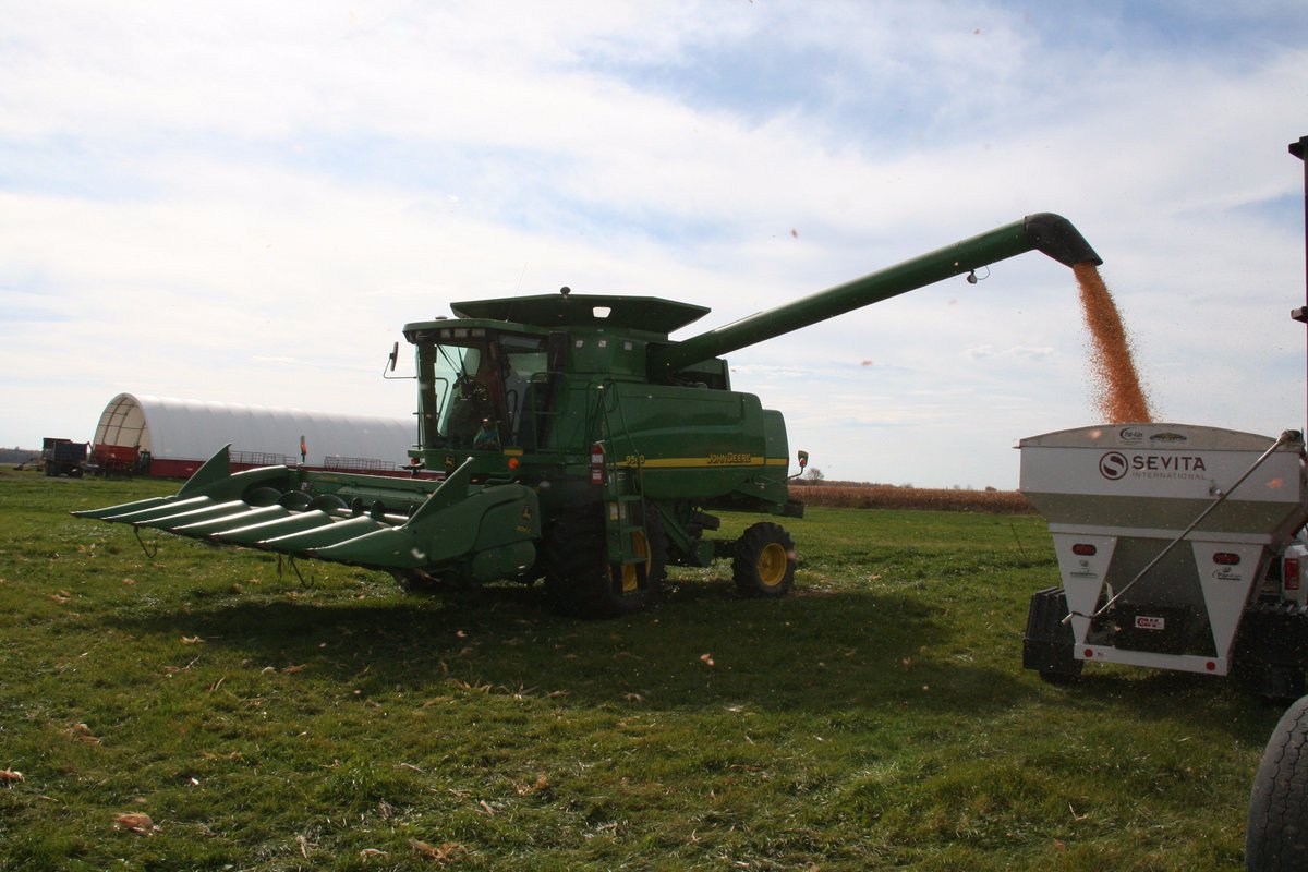 johan_philippe's tweet photo. Legend LS 5391 conventional top of the plot!! O'Donahue Farms! #ontag #harvest17 @Sevita_PROSeeds @LegendSeeds @LafranceAg @Emma_PROSeeds !! https://t.co/ujUCnzVODL