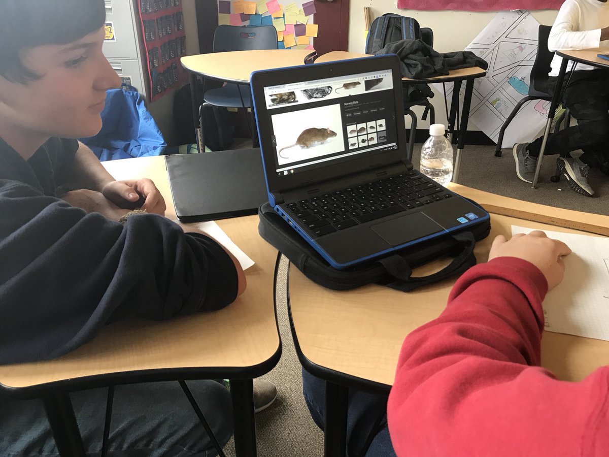 MathMrsCrowley's tweet photo. Unit project incorporating @mrslomboenglish into #7thgrademath #ThreeSkeletonKey #scaledmodel #ackcps https://t.co/si9FvyJjkE