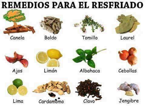 ainhoa_becquer's tweet photo. Muy importante para cuidar nuestros resfriados con este tiempo 😆
#resfriado #alimentacionsana https://t.co/KjZ4vxzk6t