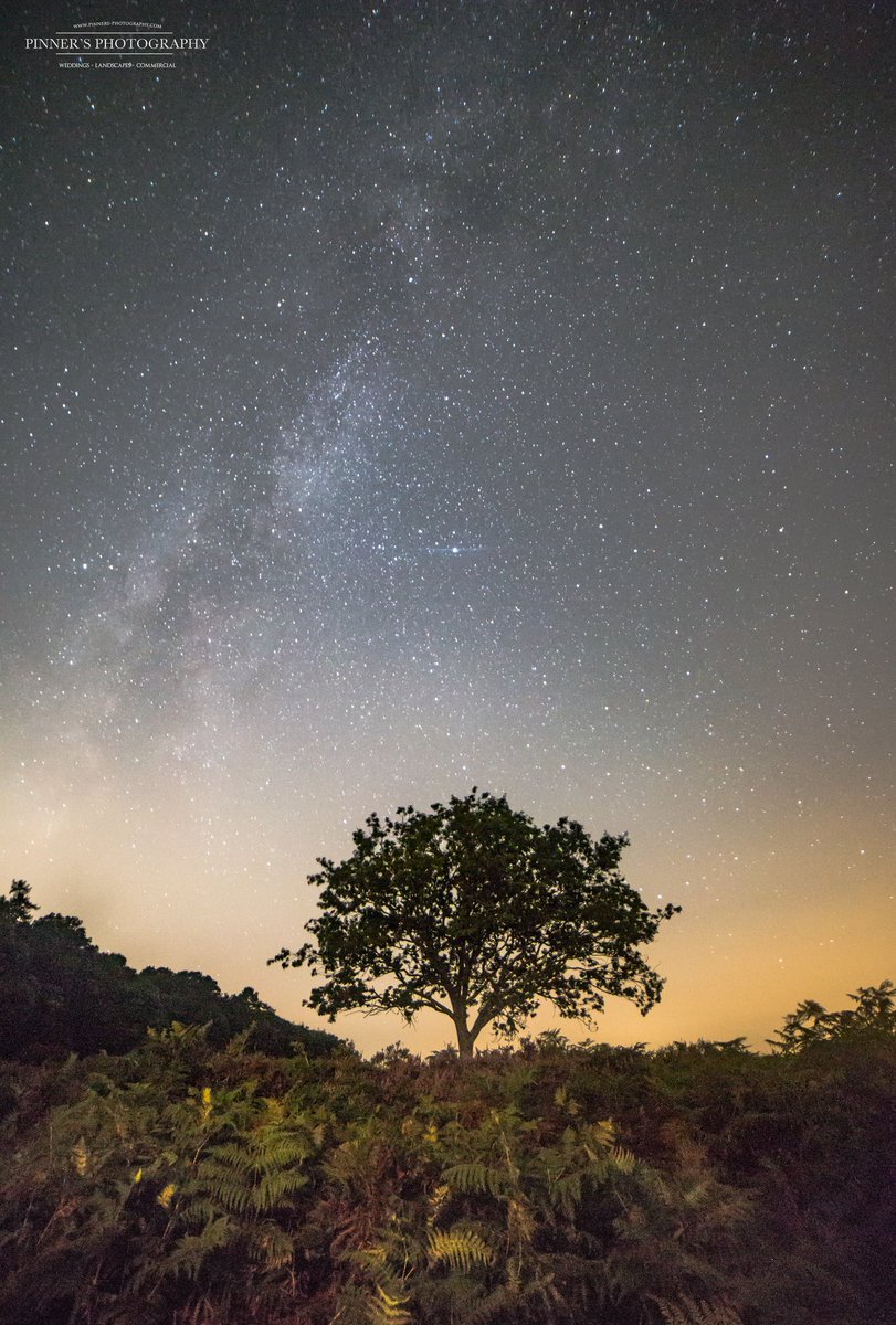 Matt_Pinner's tweet photo. Few photos of #Hampshire by Night @VisitHampshire @NewForestNPA @BBCEarth #MilkyWay https://t.co/XYqp0VLWU1