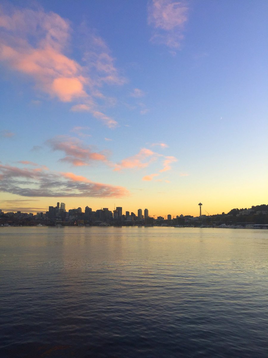 CourtStrand's tweet photo. #ViewFromMyRun #CourtRuns #Seattle #LakeUnion #GasWorksPark #Running https://t.co/Eo6Vwi584j