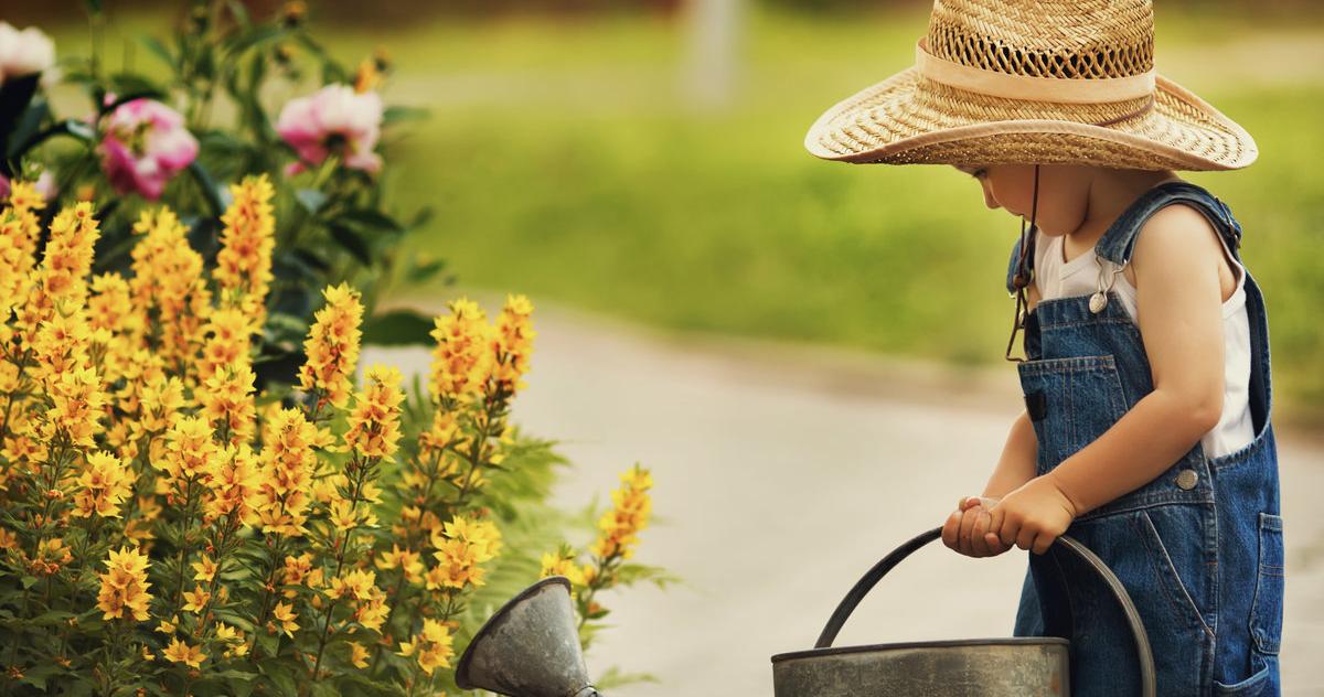 dsaunders's tweet image. Enjoy your fall garden, while also preparing it for winter and getting it ready for the springtime, too. #entry. - sot.ag/6Tx6X