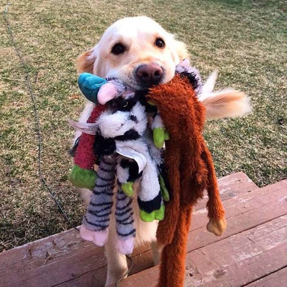 Me, on my way to the merch tent: I'm only going to buy a tourney disc. 

Me, on my out of the merch tent: