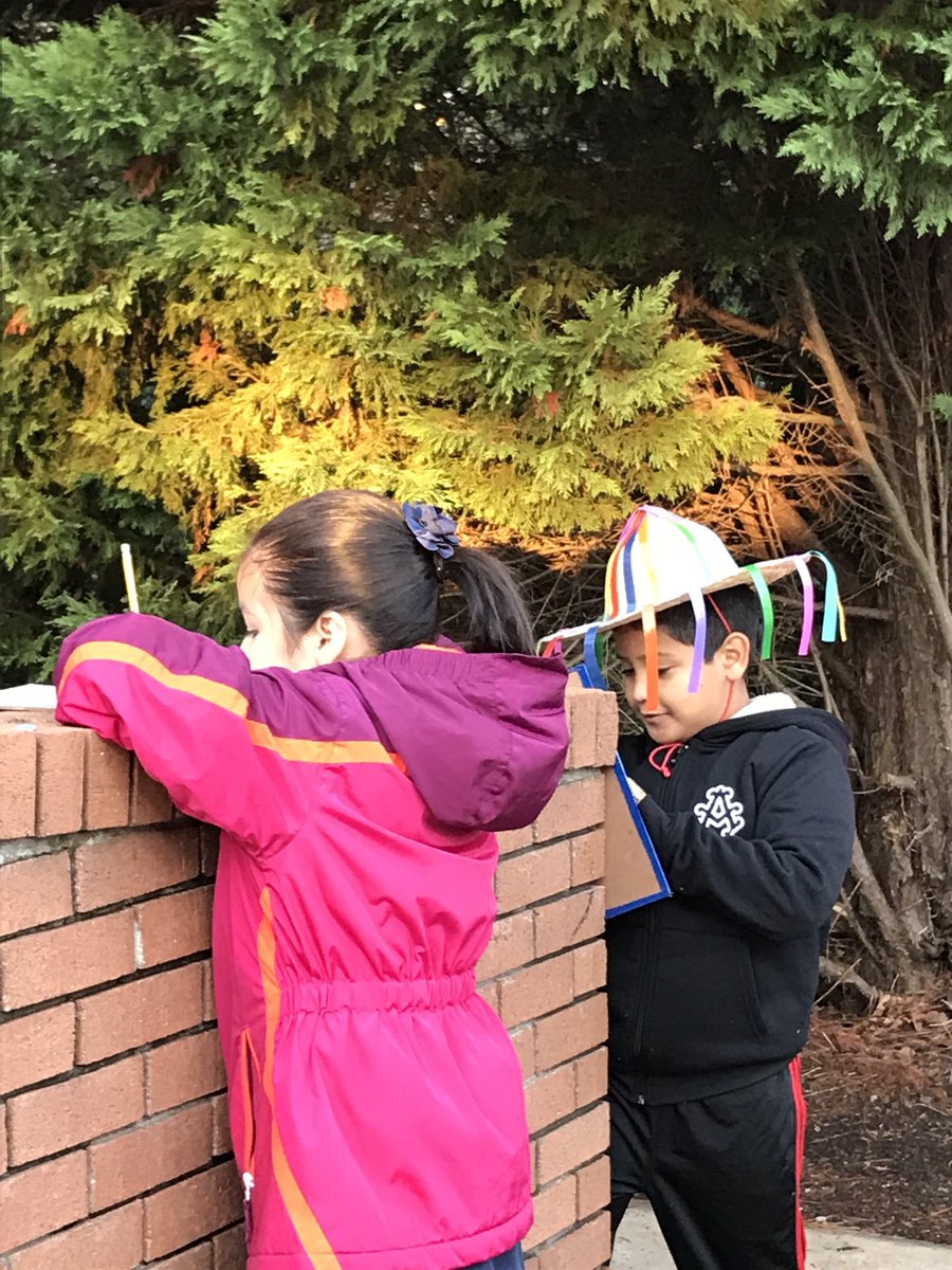 PrincipalDrH's tweet photo. WES 3rd grade morning lesson on coniferous and decidous trees #observationnotes @DCSDSTEM @DeKalbSchools @wrightway99 @WoodwardAllRise https://t.co/PaQjESTwtf