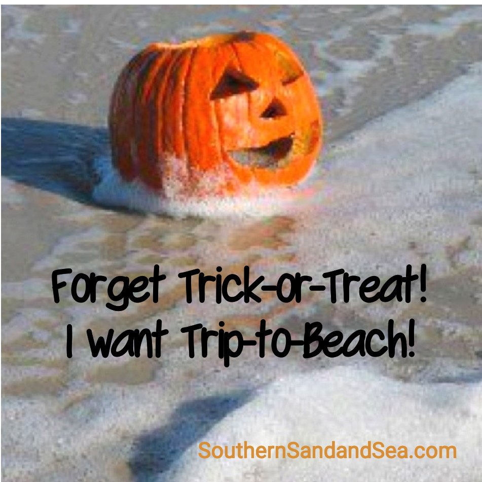 SouthernSandSea's tweet photo. #southernsandandsea
https://t.co/LYySb5sizK https://t.co/BItwgmEuHY