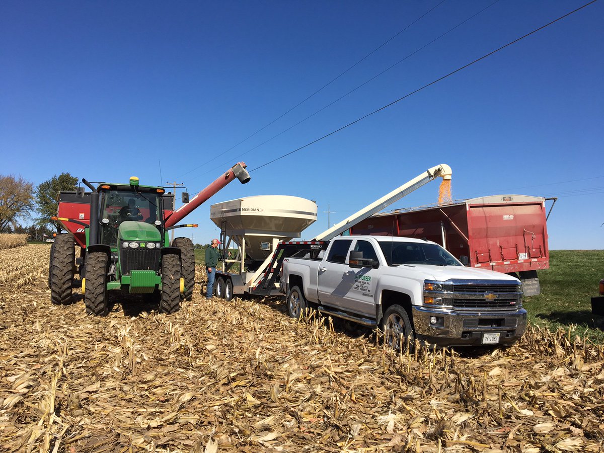RUSKAMPSEEDS's tweet photo. Successful dry land plot harvest today. Impressive Yeilds #yieldhero #pioneer https://t.co/0NQq4lgabA